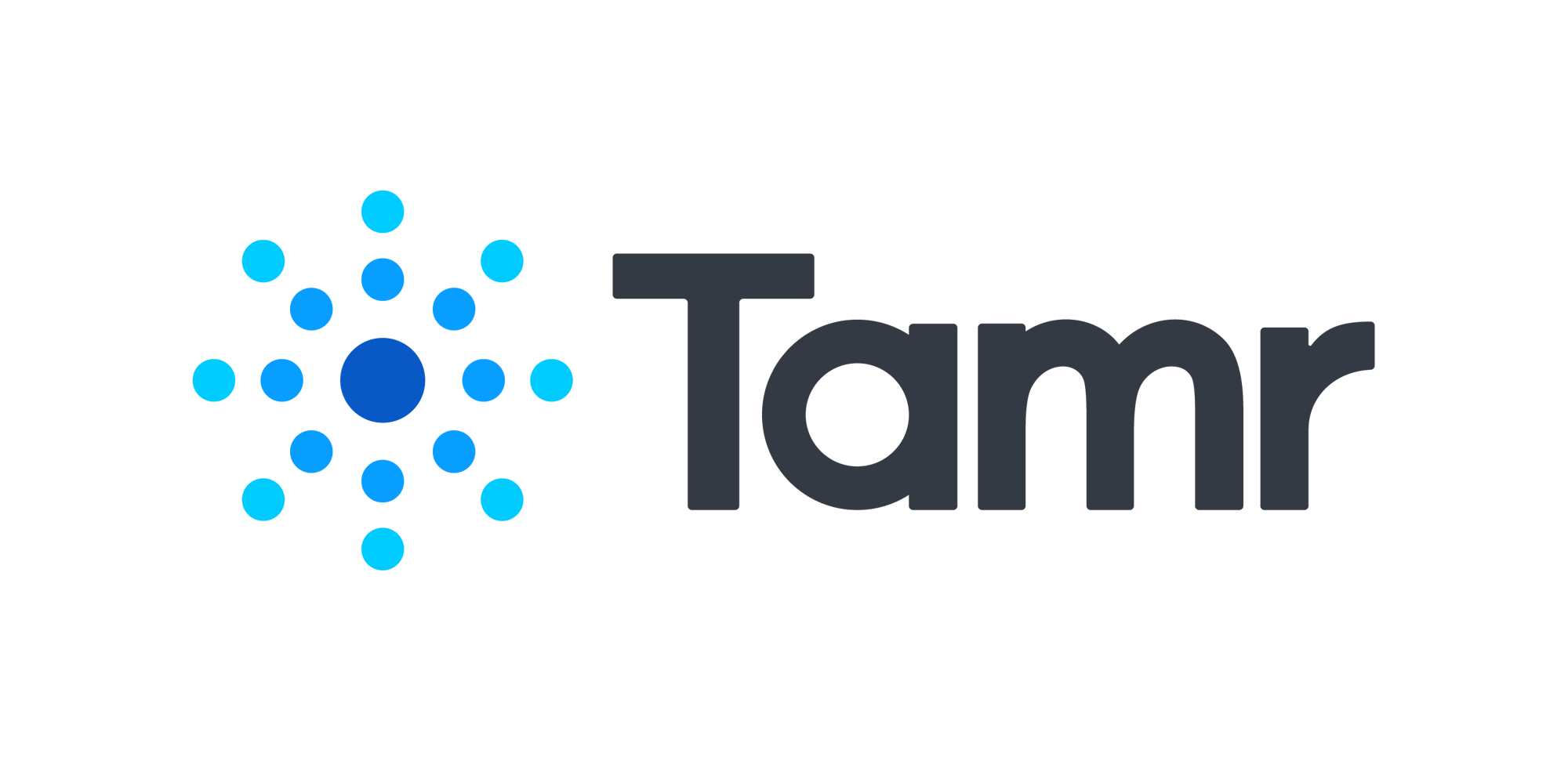 Tamr-Logo-Color-DarkText (1)